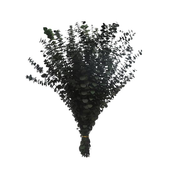 Dark Green Dried Eucalyptus Bundle by Ashland